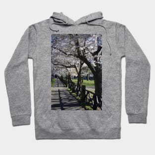 Cherry Blossoms Hoodie